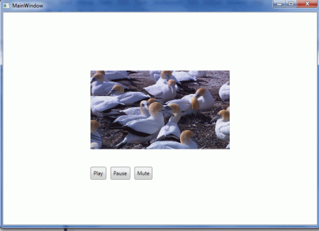wpf4.gif