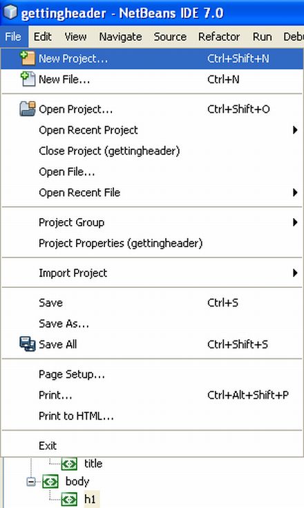 new project.jpg