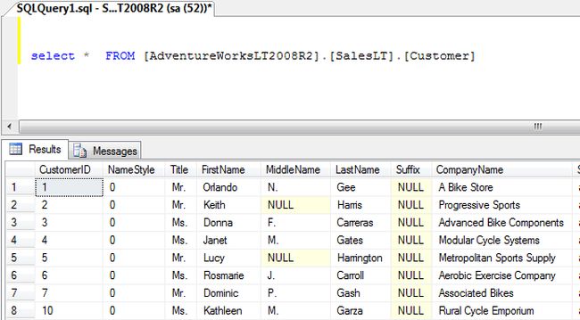 net sql query