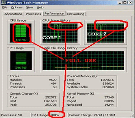 image2.gif