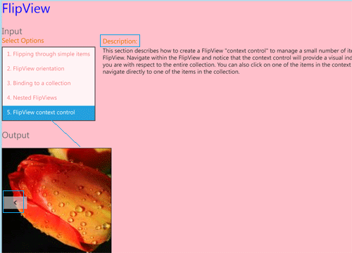 output5.gif