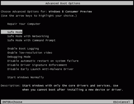 advanced-boot-option-windows8.gif