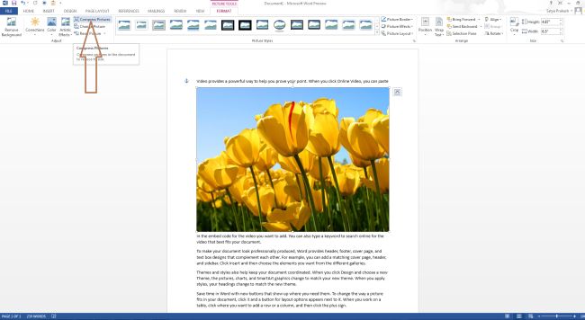 compress-picture-button.jpg