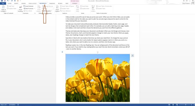 Refernce-tab-in-word2013.jpg