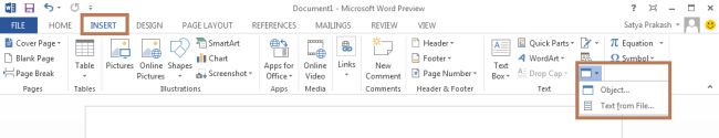 object-option-in-word2013.jpg