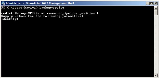 Backup-spsite