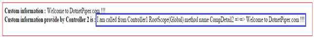 custom information