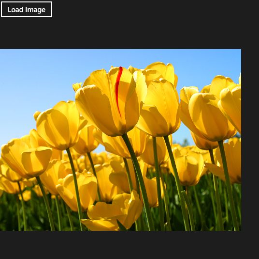 Load-Image-From-Application-Uri-In-Windows-Store-Apps.jpg