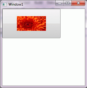 wpf2.gif