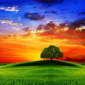 ifBackground.png