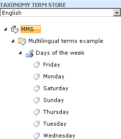 Multilingual1.gif