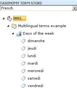 Multilingual4.gif