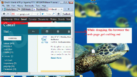 css1.gif