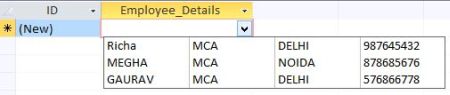 Display-Output-In-Access-2013.jpg