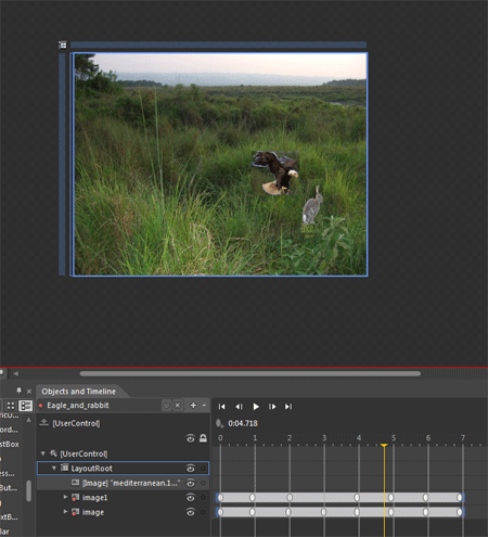 image-4.gif