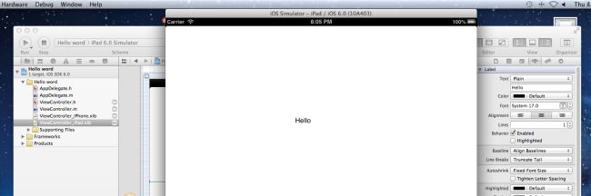 output-in-ipad.jpg