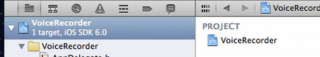 select-project-in-iPhone.jpg