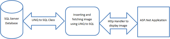 figure1.gif