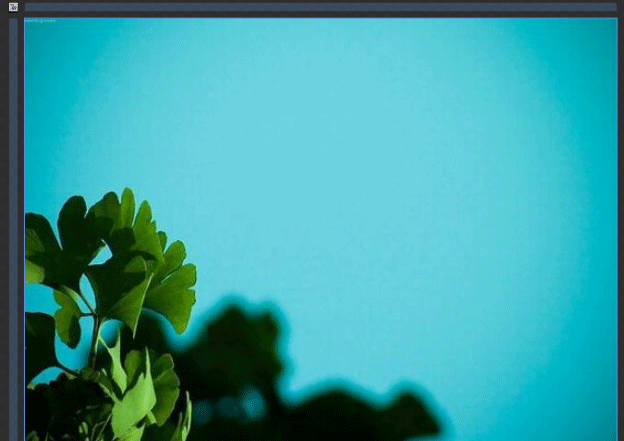 image3.gif