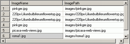 img02.gif