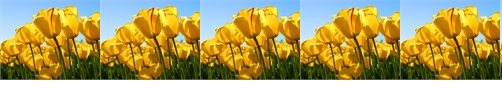 horizontal-image-repetition-property-in-html.png