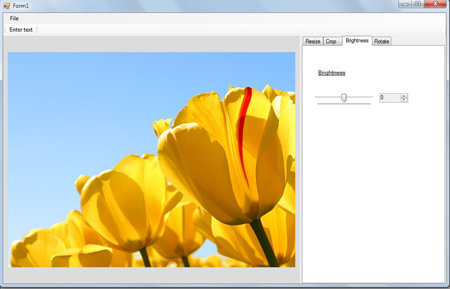 Image-Editing-tool-in-.Net.jpg