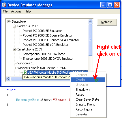 Web Service From Windows Mobile Application