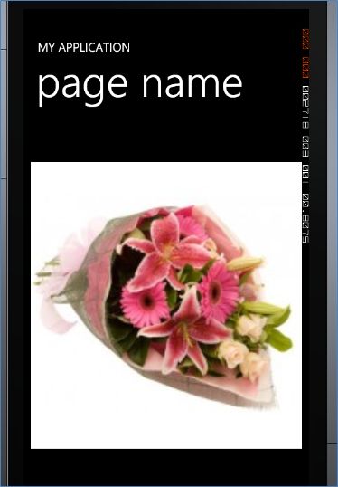 ImgWP5.jpg