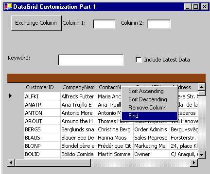 DataGridCustP3Img.gif