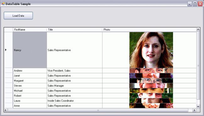 Datatable1.jpg