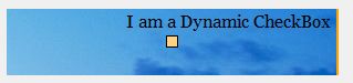 CheckBoxImg3.jpg