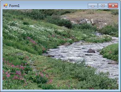 PictureBoxImg1.jpg