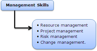 SystemAnalyst1.gif