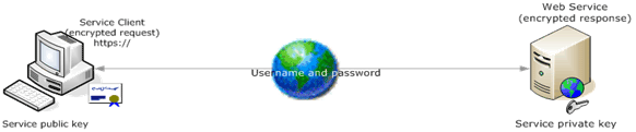 WSE1.gif