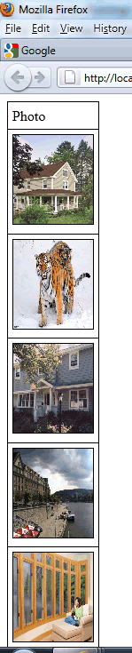Image1.gif