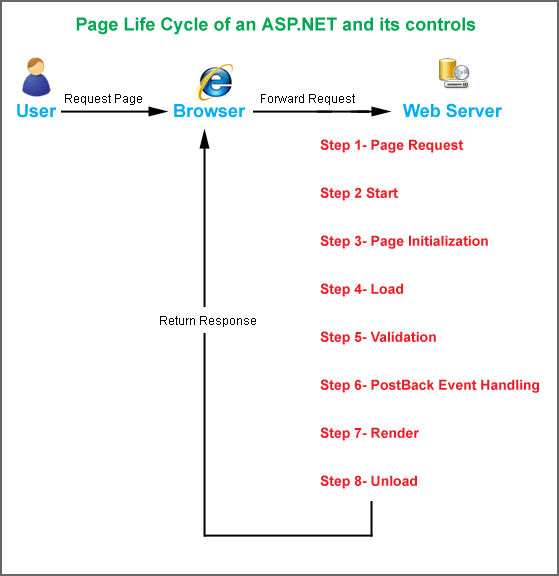 Life-cycle.gif