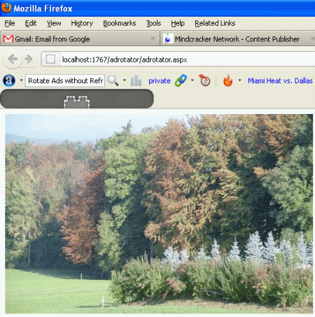 image3.gif
