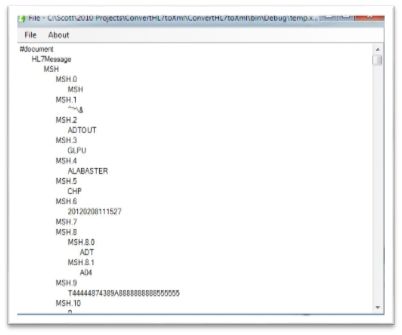 Fake-HL7-Message.jpg