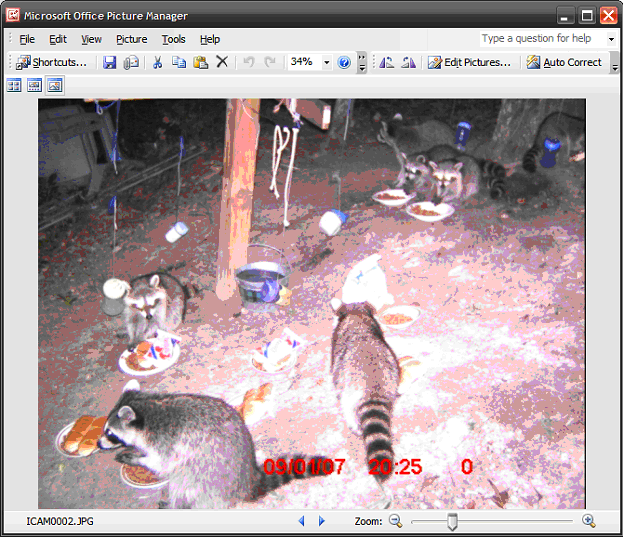 Microsoft-Office-Picture-Manager.gif
