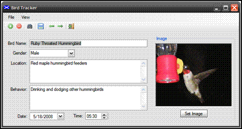 image1.GIF