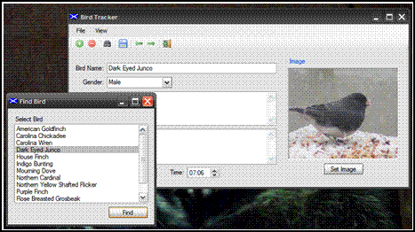 image2.GIF