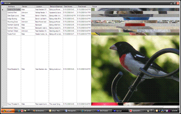 image3.GIF