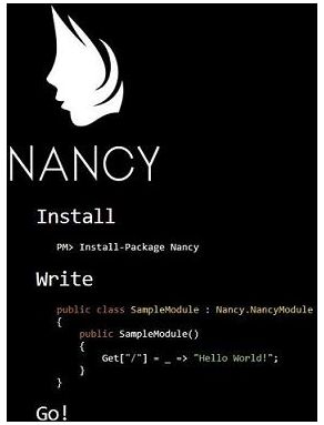 Nancy-Framework2.jpg