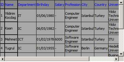 Datagrid-record-in-vb.net.jpg