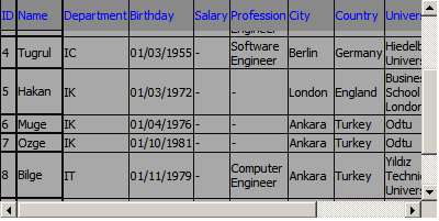 Datagrid6.jpg