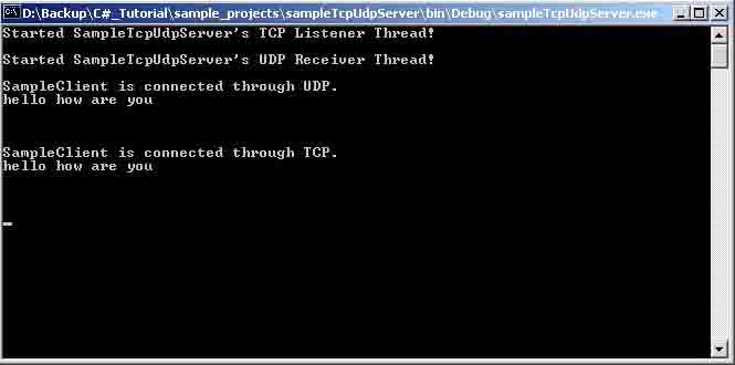 C Program For Udp Client Server