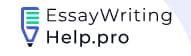 Essaywritinghelp.Pro