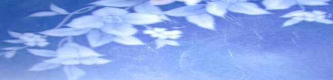 image-insert-main-body-for-text-on-image