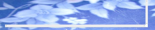 use-z-index-on-image-main-body-for-text-on-image