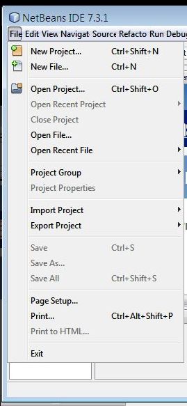 Radio Button in Java Using Netbeans IDE